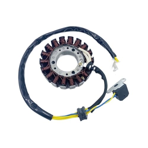 Stator de magnéto pour quad ATV 260cc et 300cc - Pièce d'allumage moteur