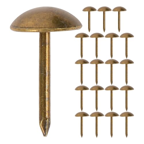 Abaodam 100 AeB[NSƋpB \t@JE`p^lC{^ ȒPt rOhApBe[WfUCƋ