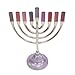 Yair Emanuel Hanukkah Menorah Candle Holder 9 Branch Classic Minimal Design (Maroon HAU-3)