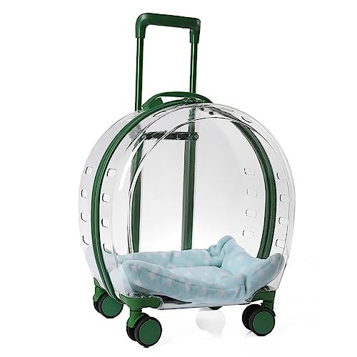 Poussette pour animaux de compagnie et chariot de voyage rigide pour chat