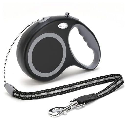 Dog Walking Leash for Large Dogs