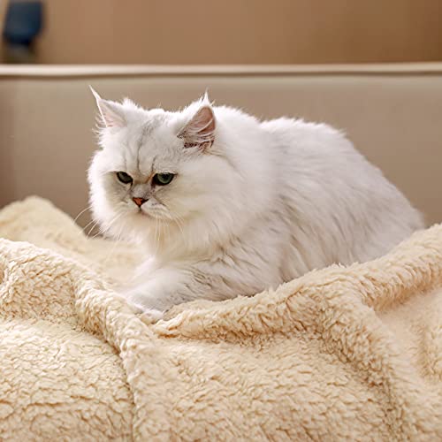 1 Pack 3 Calming Blankets Fluffy Premium Fleece Pet Blanket Soft Sherpa Throw for Dog Puppy Cat Beige Small (23x16'') - Image 3