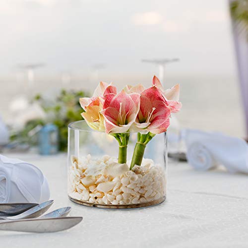 Serene Spaces Living Clear Glass Cylinder Vase, Use for Floral Arrangements or as Candle Holder, Cylindrical Shape Offers Endless Design Options, Measures 8\" Diameter & 6\" Tall