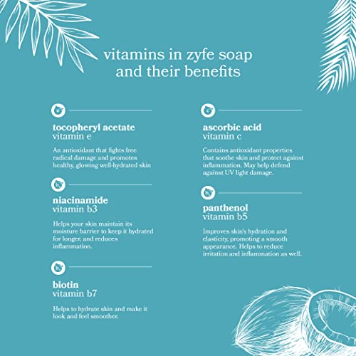 Vitamin Hand Soap | Liquid Hand Soap | Natural Plant Derived Moisturizing Handsoap With Essential Oil Fragrance Coconilla Key | Soft Hand Wash For Kitchen & Bathroom With Pump 12Oz | Lush Soft Soap #TOP3