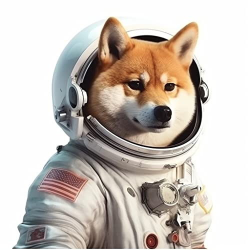 Image of Yoonek Graphics Shiba Inu Dog Vinyl Decal Sticker for Car, Laptop, Tumbler, More. #001651