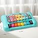Didklom 2-in-1 Baby Piano & Xylophone Toy for Toddlers 1-3, 8-Key Multicolor Musical Learning Instrument, Early Educational Gift for Infants Kids