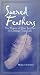 Sacred Feathers: The Power of One Feather to Change Your Life