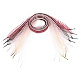 WESIEVYA 5 piezas Cordones de Gasa para Zapatillas de Colores para Zapatos Casuales y Deportivos para Mujeres y Decoración Chic y Versátil