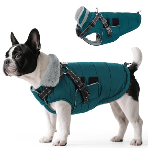 Queenmore Dog Coats for Large Dogs Winter Waterproof with Harness Built-in