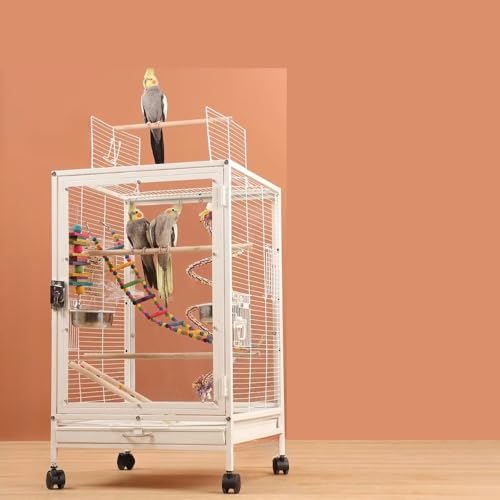 Emidor ^̒AATCY46×46×77cmAړɕ֗ȃLX^[AȃAÑhAA~܂؂ƉaAogCtAȒPAIEAuo[hAJiAAIEAIJCRȂǂɓKĂ܂B (A)