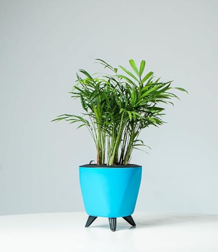 Image of Garden Art (Pack of 5 Indoor Outdoor Self Watering Planter Home Living Room Office Tabletop Decorative Plastic Flower Pot 5.1 Inch (Teal, 5) PPLAT