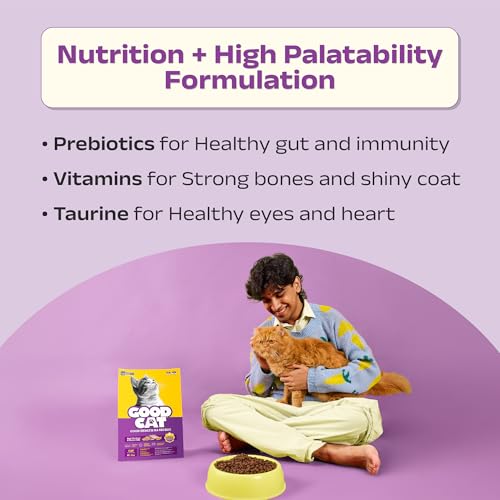 Image of Good Cat Baked Dry Cat Food for Adult Cats & Kittens | Tuna, Salmon, Mackerel & Anchovies | High Protein Complete Nutrition for Cats | Taurine Enriched | Supports Skin & Coat Health | 600g (2 x 300g)