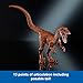Mattel Jurassic World Hammond Collection Dinosaur Action Figure Toy, Atrociraptor Tiger, Premium Movie Design Glass Eyes & 13 Points Articulation