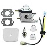vergaser ersatzteile rasenmäher Ersetzt Echo OEM Part #: 12520013124 12520013122 12520013123 Ersetzt ZAMA C1U-K54A