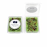 BlkGrlMagick Pyrite Money Manifestation Gemstone Wax Melts, for Success Law of Attraction Intention, Sandalwood and Coconut Scent, with Cinnamon, Clove, Mint, Strong Herbal Wax Tarts, Crystal Charged