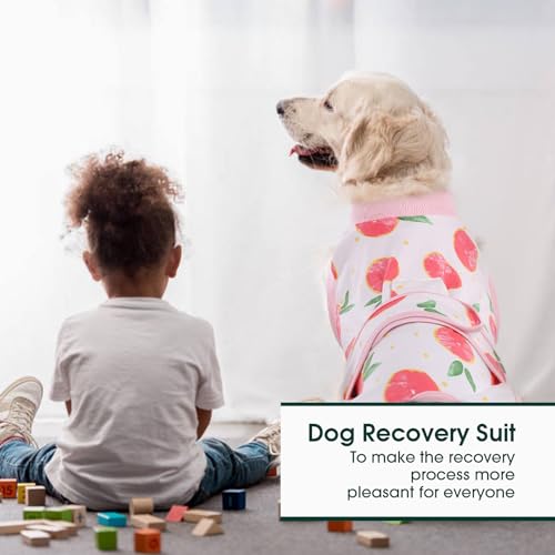 image for Kuoser Recovery Suit for Dogs Cats After Surgery, Professional Pet Rec