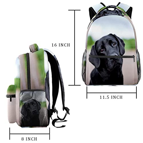 Mochila para perro multifuncional y escolar universitaria de gran capacidad 2