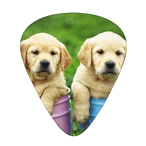 킢qM^[sbN12sbNt@bVp[\iCYx[XsbNϋv̂GLM^[vNgyANZT[