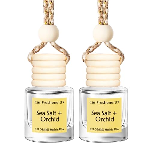 Image of Hanging Car Air Freshener, Long Lasting Essential Oil Diffuser, Non-Toxic New Car Scent, Cute Car Fresheners for Women, 2 Pack Made in USA
