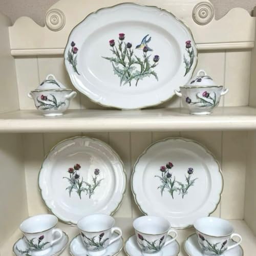 C^A e[uEFA AU~ԕ  r\[jigD[ M Jbv