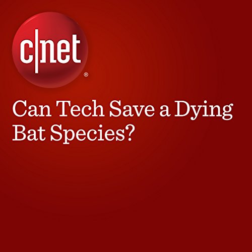Can Tech Save a Dying Bat Species? by Megan Wollerton | Audiobook Can Tech Save a Dying Bat Species? by Megan Wollerton | Audiobook