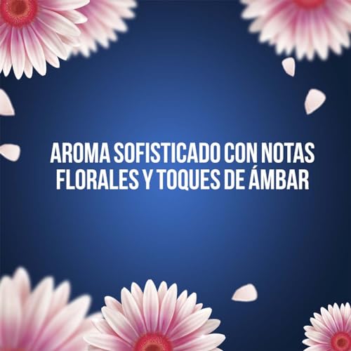 Talcos Y Desodorantes, Book Imagen adicional