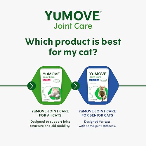 Lintbells | YuMOVE Katze | Nahrungsergänzungsmittel für Hüft- und Gelenke für steife Katzen, mit Glucosamin, Chondroitin, Grünlippmuschel, alle Altersgruppen und Rassen | 60 Kapseln