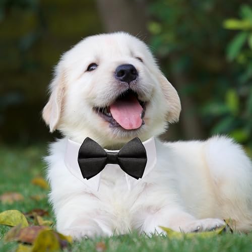 Image of Dog Bowtie, KOOLMOX Tux Dog Collar for Weddings with Handcrafted Adjustable White Collar and Black Tie, Classic Neck Tie for Small to Medium Dogs Cats Puppies Valentine's Costumes