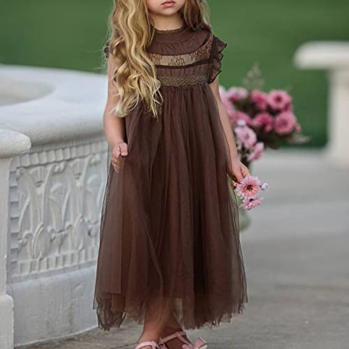Girls Lace Dress Girls Children's Clothes Puffy Mesh Dress Flower Girl Dress Princess Dress Baby Girl Dresses 182