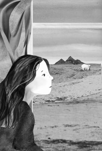 Image of The Last Bear: On remote Bear Island, a girl befriends a stranded polar bear in this heartfelt Arctic friendship tale for grades 3-7