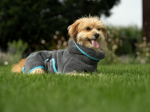 TrendPet Dampfhund Premium Bademantel für Hunde, Supersaugfähig und in 11 Größen verfügbar - Passend zu jeder Hundegröße Gr. 02 | 25-30 cm