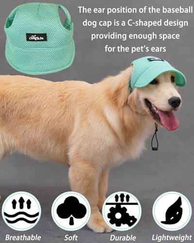 BPTRKOM 1 Stück Hunde-Basecap mit verstellbarem Sonnenschutz - Baseballmütze mit speziellen Ohrlöchern für alle Hundegrößen - Atmungsaktives UV-Schutz-Design (Größe: M, Farbe: Grün)