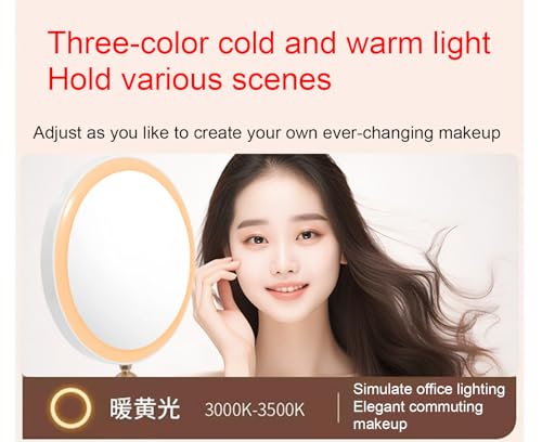 Miroir de courtoisie avec éclairage à intensité variable 3 couleurs - 6