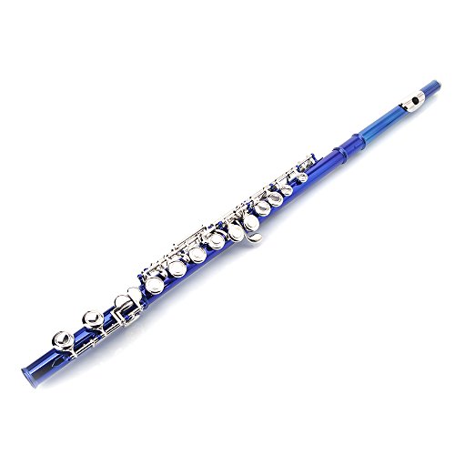Closed Hole Flute,C Flute,Nickel Plated Beginner Flute Concert Band With E Key With Case, Cleaning Kit,Musical Instrument For Kids, Nickel Student Flute (Blue) #TOP4