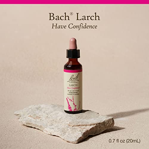 image for Bach Flower Remedies Bach Original Flower Remedies, Larch - Have Confi