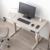 タンスのゲン 昇降デスク 電動 幅120㎝ メモリ機能 静音昇降 USB付き パソコンデスク オフィスデスク ゲーミングデスク PCデスク 45400147(110926)