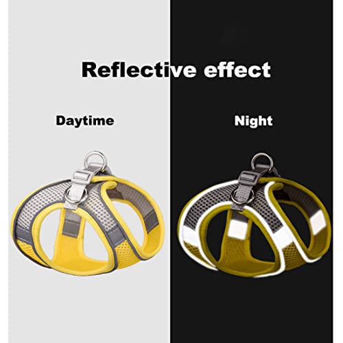 Cute Puppy Dog Harness And Leash Set, With Anti-Loss Pendant, Reflective No Pull Cat Vest, Soft Breathable Thin Mesh Pet Halter For Xxs Xs Small Medium Breed Dogs Female Male, Orange Xsmall #TOP1