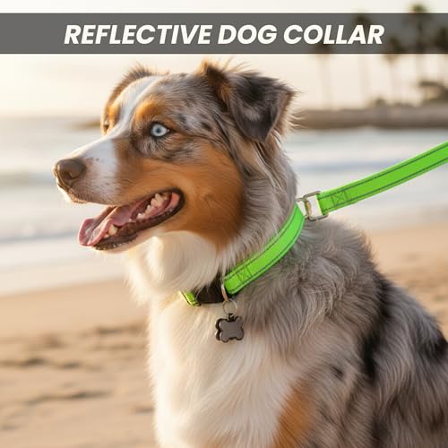 Collar Reflectante para Perro, Ajustable, Nylon, Hebilla Rápida, Verde XL miniatura 5