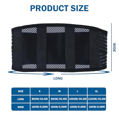 Fascia Lombare Supporto Schiena, S M L Xl, Doppi Cinturini Regolabile E Traspirante, Cintura Busto Ortopedico Lombare, Pancera Contenitiva Uomo Donna, Supporto Per Mal Di Schiena Ernia Disco (L) - 2