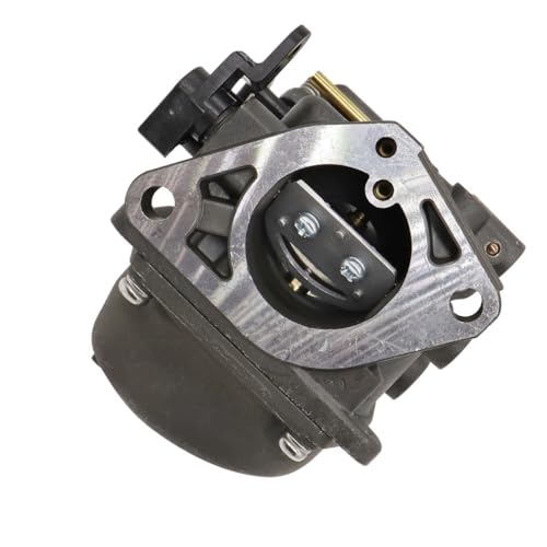 Carburateur 16100-ZV4-D22 pour Réparer un Moteur Hors-Bord BF15 en Panne