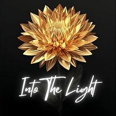 Into the Light Audiolibro Por Amanda Followell arte de portada