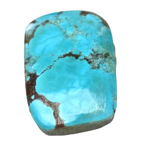 Turquoise naturelle cabochon 19,56mm stable pour réussir vos montages de bagues