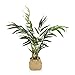 Produktbild hjh OFFICE Kunstpflanze CHAMAEDOREA Bergpalme mit Korb, Höhe 65 cm, Zimmer Dekopflanze künstlich, 871014