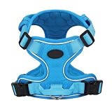 Geschirr Lediglich Reflektierende Sicherheitsausrüstung für Haustiere Großes Hundegeschirr mit Leine – Leichtes Outdoor-Gehäuse Robust Sichtbar (1-Blue, L)