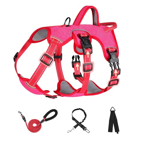 Escape Proof Dog Harness The 15 best products compared Wild Explained