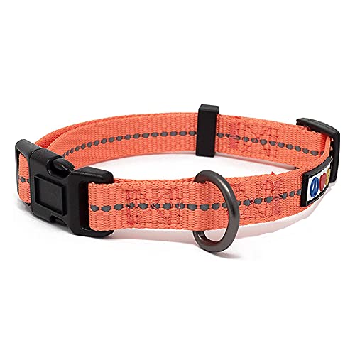 Pawtitas Recycled Dog Collar with Reflective Stitched Puppy Collar Made from Plastic Bottles Collected from Oceans Large Living Coral