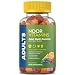 NoorVitamins Adult Gummy Multivitamins with Organic Fruit Blend - 90 Count - Halal Vitamins
