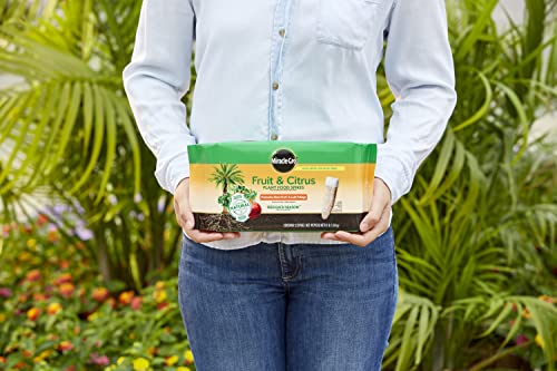 Image of Miracle-Gro Fruit & Citrus Plant Food Spikes, 12 Spikes, 3 lb. (2-Pack) | 10-15-15 NPK Easy-To-Use Nutrition for Fruit and Citrus Trees, Plant Fertilizer