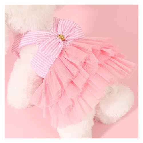 Bichon et petit chat tenue de printemps délicate en dentelle - 5