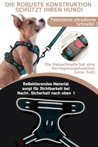BaoCheng Hundegeschirr Anti Zug Hundegürtel,Kleine/mittlere/große Hunde,Atmungsaktives Mesh, Einfaches Be-und Entladen,3 Schnallen, Sicherheit,Entlastet Husten,Reflektierend(Dunkelgrün,M)